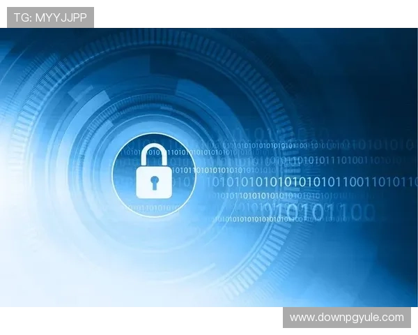 完美视讯网站安全稳定的播放环境保障，确保用户隐私与数据安全的最佳解决方案